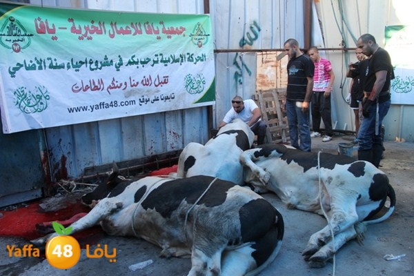 ada7y 116 n1 (4).JPG